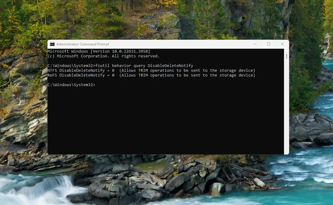 check if TRIM is enabled in Windows