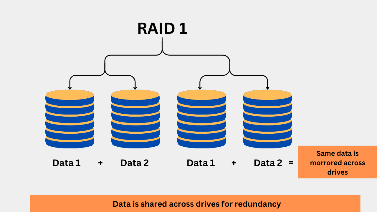 RAID 1