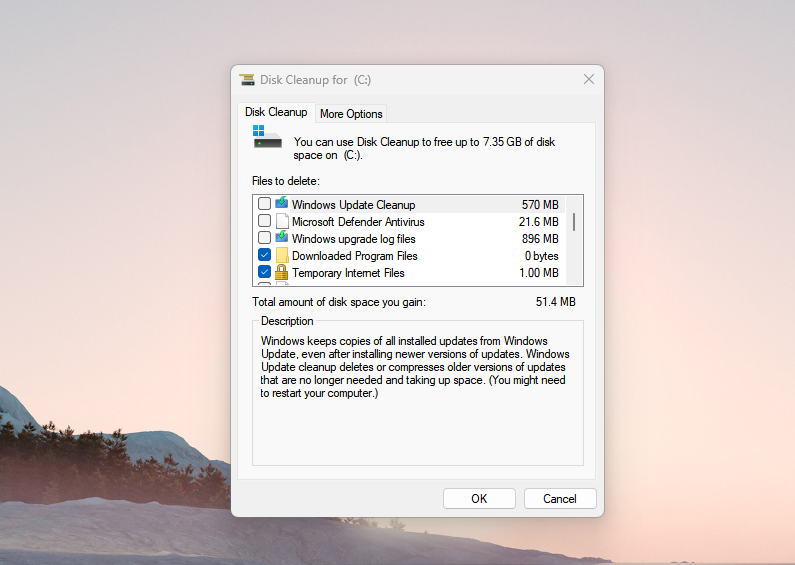 system disk cleanup