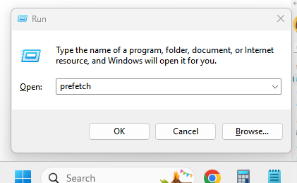 type prefetch in run