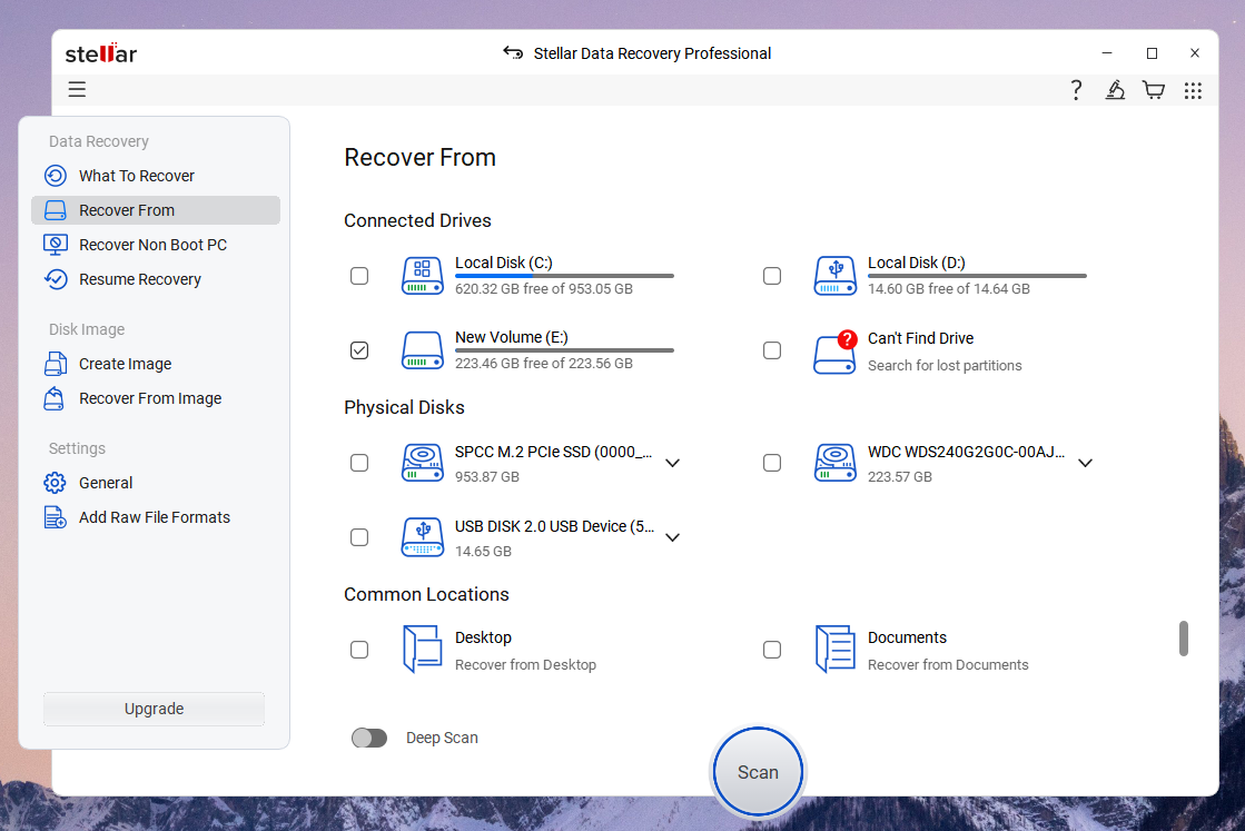 Running the scan in stellar professional