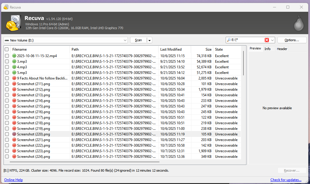 Manually checking the recovered files