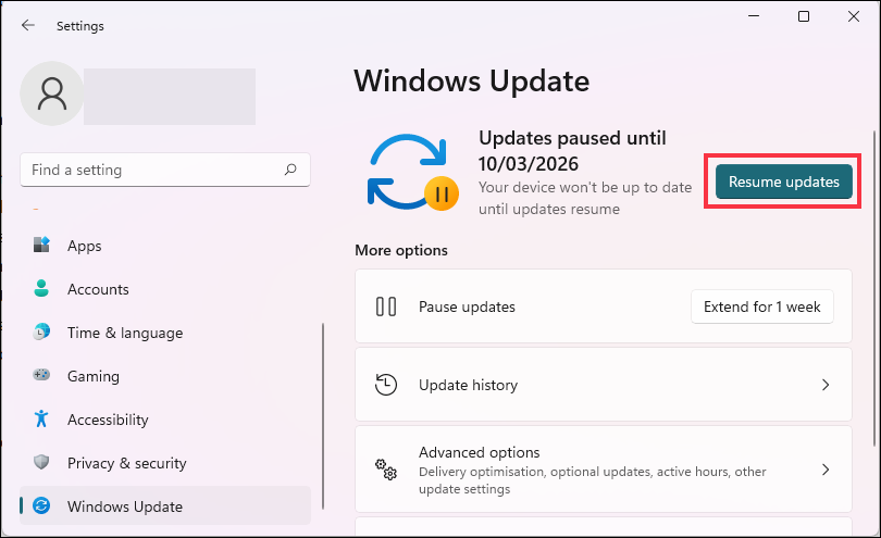 resume windows updates