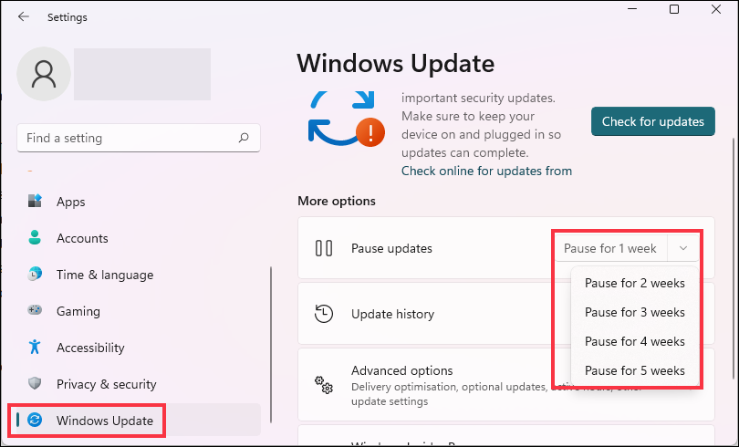 windows updates in settings